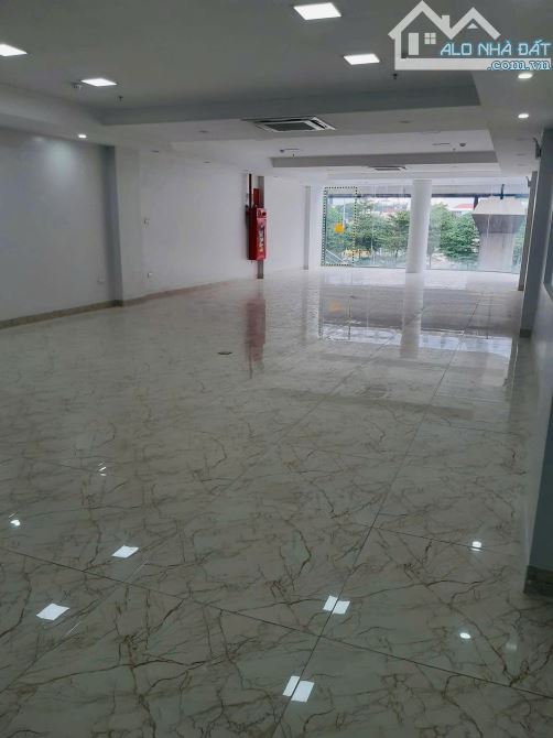 Mặt phố Hoàng Gia Hoàng Cầu Đống Đa 210m2 x 11 Tầng mt 6.5m - 2