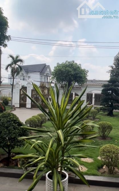Bán biệt phủ ngay Tô Ký, Tân Xuân, Hóc Môn, 1528m2, ngang NH 28m, hơn 5X  tỷ TL - 2