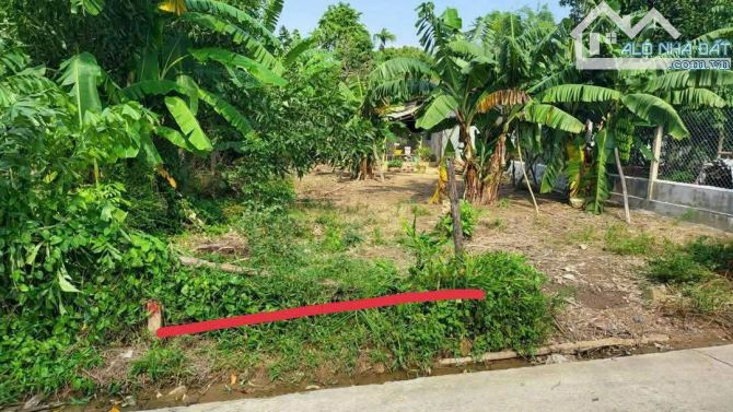 ĐẤT KIỆT LÝ NAM ĐẾ (này là MẶT TIỀN TRIỆU TÚC) - HƯƠNG LONG - 2