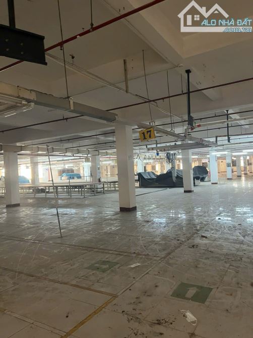 Bán kho xưởng 9.250m2 mặt tiền đường Số 8 Khu Chế Xuất Tân Thuận, P. Tân Thuận Đông, Q7. - 2
