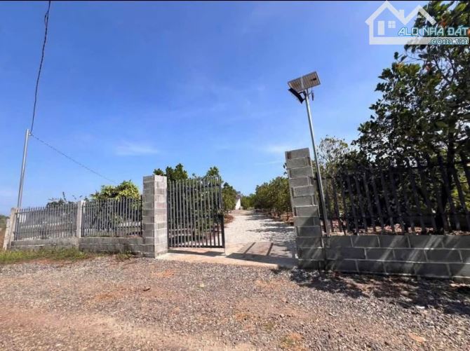 CHỦ ĐI NƯỚC NGOÀI NÊN CẦN SANG NHƯỢNG LẠI LÔ NHÀ VƯỜN VIEW HỒ SUỐI MÔN 1,2 TỶ - 2