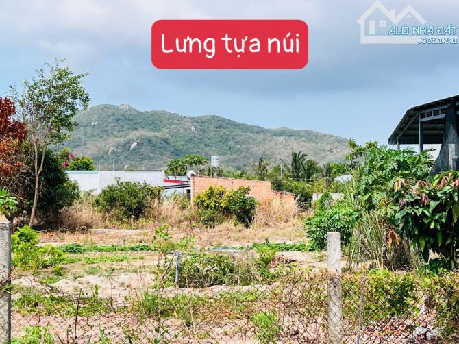 THỊ TRẤN PHƯỚC HẢI - LONG ĐẤT - BRVT; đi biển chỉ 5 phút 🌈🌈🌈522M2 -15x34M - 2
