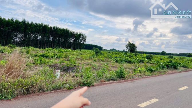 📍Xã Phước Long Thọ - Đất Đỏ - BRVT  🌈🌈🌈DT 1000m2 -13.6x74m, quy hoạch đất ở. - 2