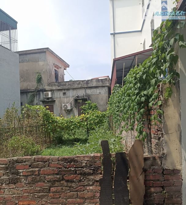 Bán 45m2 đất Ngũ Hiệp - Thanh Trì, ô tô vào đất, gần trục chính - 2