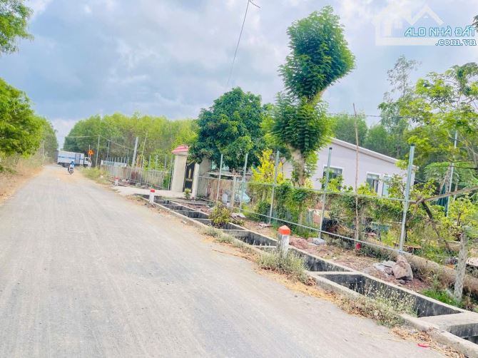 Phước Hội- Đất Đỏ BRVT  Lô đất 2 mặt tiền trước sau DT: 12x44 (489m2- có sẵn 200 thổ cư) - 2