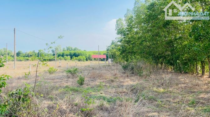 Bán Lô Đất Khu Bòn Bon- Long Tân Đất Đỏ BRVT  DT: 29x40 ( 1045m2-100m thổ cư) Lô góc 2 mặt - 2