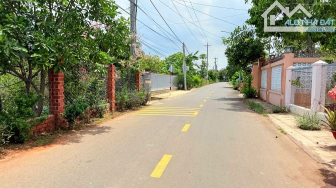 🏡 BÁN ĐẤT MẶT TIỀN ĐƯỜNG TRỊNH HOÀI ĐỨC – TT. ĐẤT ĐỎ, H. LONG ĐẤT, BR-VT - 2