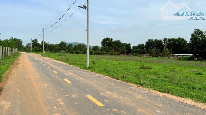 Phước Hải- Lô Đất MT đường nhựa 950 triệu Diện tích: 5x21 nở hậu 5.5m- 112m2-80m thổ cư - 2