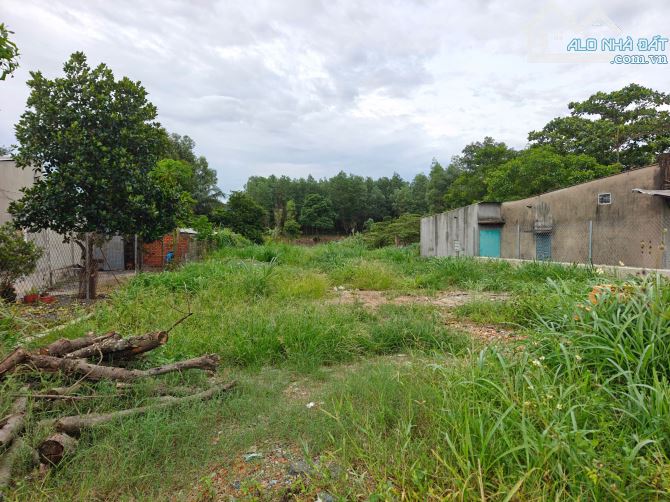 D100 Bán 1000m2 đất gần Gx Tân Bắc, Trảng Bom. - 3