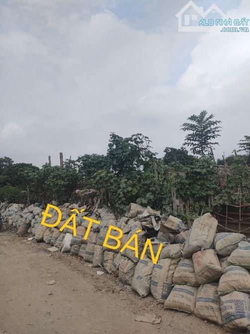 THƯỢNG THANH LONG BIÊN- ĐẤT NÔNG NGHIỆP -DT:620 MÉT-GIÁ 2TỶ800 - 3