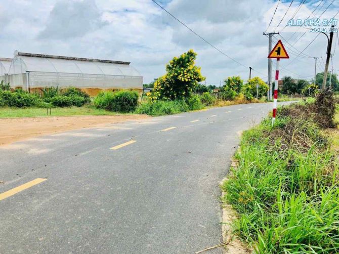 Gần 500m2- Phước Hải-tp HCM - Chỉ 1 Tỷ 200 - 3