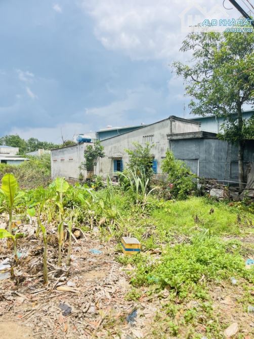 bán lô đất mặt tiền đường thanh niên- 737m2-làm kho xưởng - đầu tư - giáp hóc môn - 3