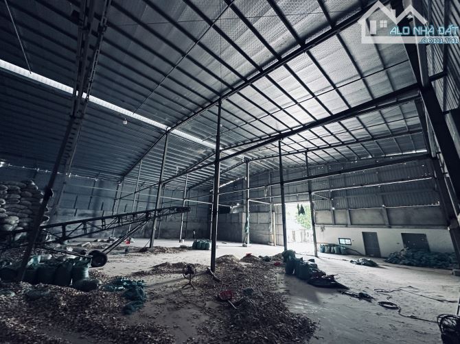 Cho thuê 2000m2 sẵn nhà xưởng 1300m2 sân bãi 700m - 3
