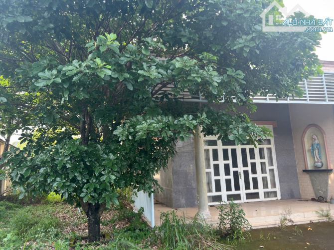 Bán nhà vườn 445m2 Gần trường học Trần Quốc Toản GX Giang Điền Trảng Bom - 3