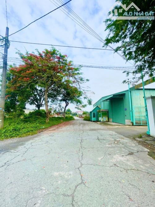 Bán lô đất biệt thự góc 2 Mt 451 m2 cực đẹp ngay khu KDC Quân Đoàn 4 P.Tân Phong - 3