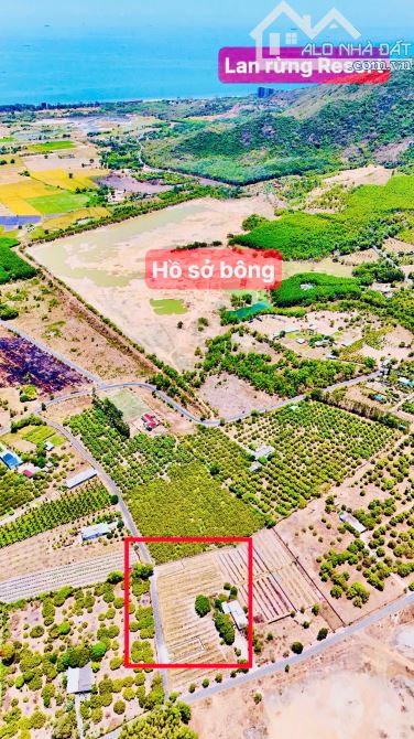 THỊ TRẤN PHƯỚC HẢI - NGAY HỒ SỞ BÔNG- CÁCH LAN RỪNG RESORT CHỈ 3Km - 3