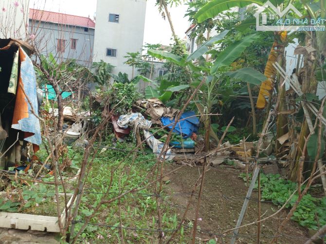 Thanh khoản lô đất Mai Châu, Đại Mạch, ngõ ô tô giá đầu tư - 3