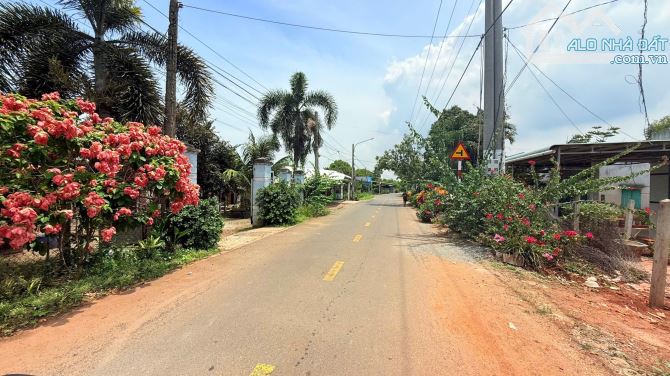 🏡 BÁN ĐẤT MẶT TIỀN ĐƯỜNG TRỊNH HOÀI ĐỨC – TT. ĐẤT ĐỎ, H. LONG ĐẤT, BR-VT - 3