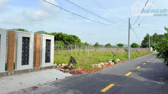 LÔ ĐẤT ĐẸP NHƯ TRANH TẠI PHƯỚC HẢI, LONG ĐẤT, BÀ RỊA - VŨNG TÀU - 3