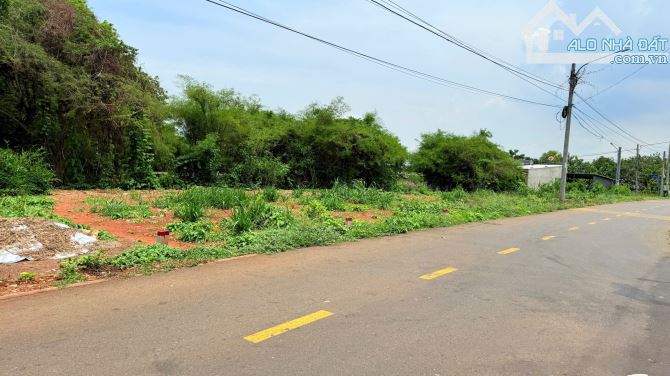 🏡 BÁN ĐẤT MẶT TIỀN ĐƯỜNG TRỊNH HOÀI ĐỨC – TT. ĐẤT ĐỎ, H. LONG ĐẤT, BR-VT - 4