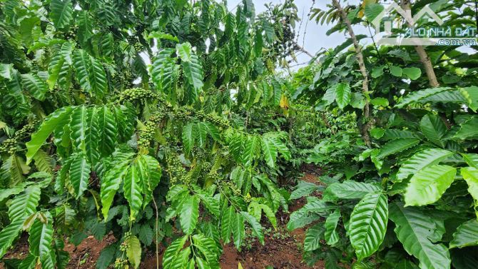 🌿 BÁN LÔ ĐẤT 3.5 XÀO – 400 thổ cư, cách QL20 500m,3Ty500 - 4