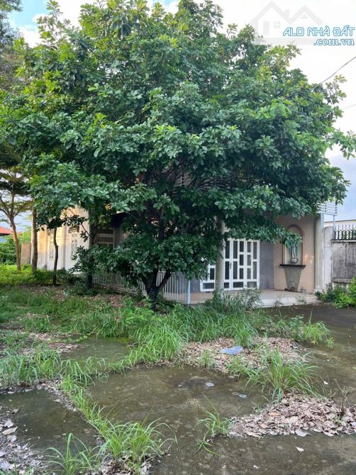 Bán nhà vườn 445m2 Gần trường học Trần Quốc Toản GX Giang Điền Trảng Bom - 6