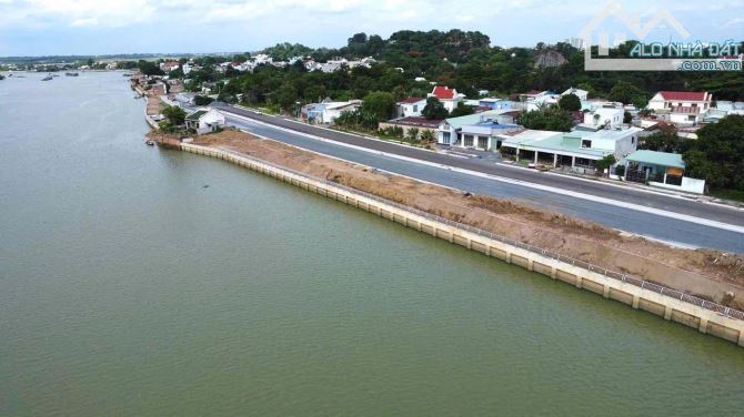 Lúa Non Cho Nhà Đầu Tư Hoặc An Cư với 12 lô tại phường Tân Triều,  cù lao sông Đồng Nai - 7
