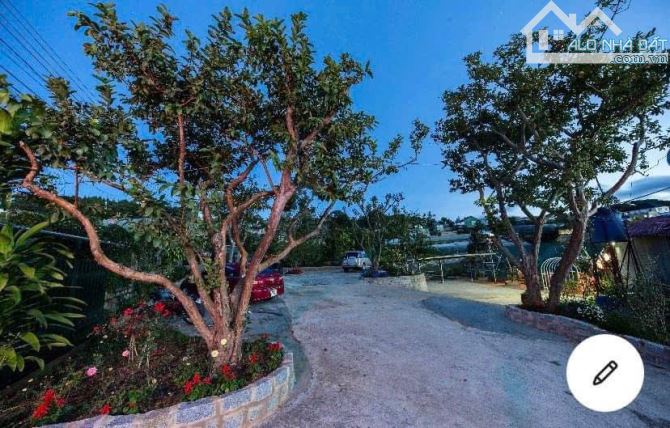 Cần Bán Căn Homestay Nguyễn Đình Quân, phường Cam Ly - Đà Lạt, Lâm Đồng. - 7
