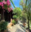 BÁN NHÀ VƯỜN MỚI ĐẸP GẦN BIỂN PHƯỚC HẢI  – CÓ SẴN NHÀ GỖ 🌴