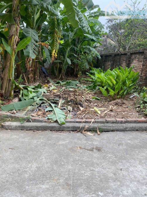 Bán Đất Cầu Diễn - Đại Học Công Nghiệp 50m giá Chỉ 5.x tỷ