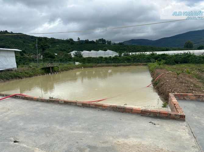 Bán 21000m2 đất nhà ao vườn suối chảy ngang xã liên hiệp đức trọng lâm đồng 12 tỷ