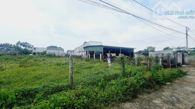 bán đất thổ cư phường phước hội, lâm đồng. gần dự án 577, DT 195m2 - 1,1 tỷ