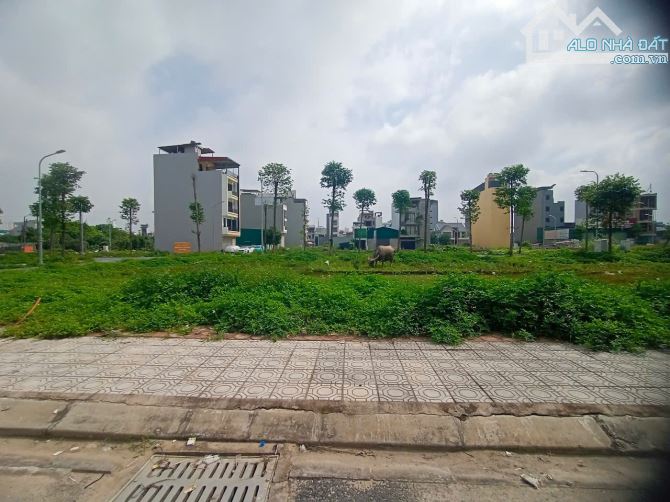💥 ĐẤT DỊCH VỤ VÂN CANH – KINH DOANH ĐỈNH, Ở SƯỚNG - 7.85 TỶ!