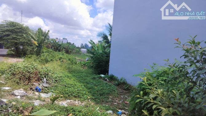 Ngân hàng thanh lý đất 128m2 mt Trương Vĩnh Nguyên
