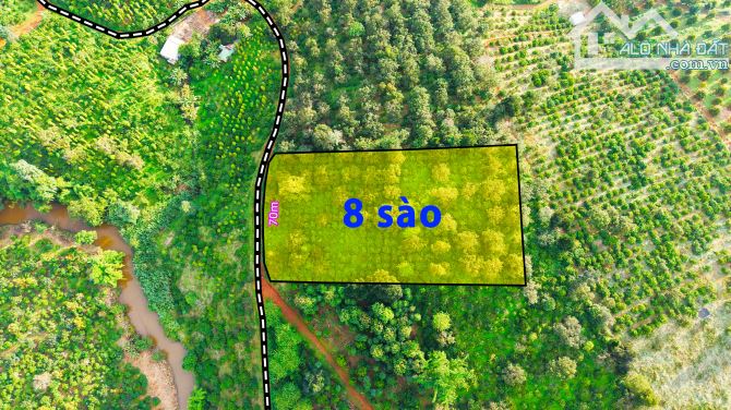 Đất rẫy 8 sào giá chỉ 900tr tại Gia Nghĩa