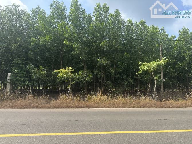 🔥BÁN ĐẤT MẶT TIỀN ĐƯỜNG 768 – 500m² ĐẸP NGANG 10M – GẦN HỒ TRỊ AN – GIÁ CHỈ 2 ,5TỶ🔥