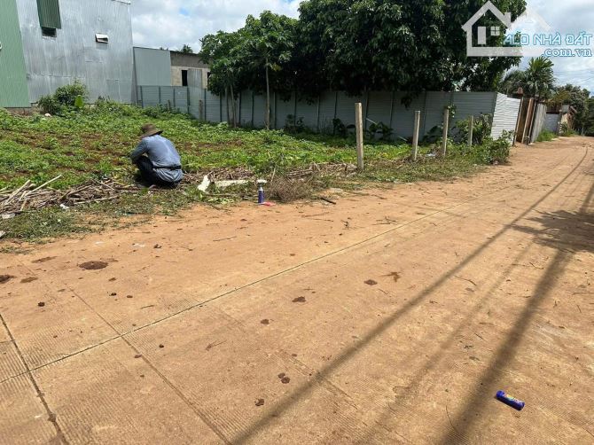 💥Đất,TC  5*21m,hẻm 327 Ymoan,Hẻm Vành Đai,Đối Diện Gòn có nhiều lô khác