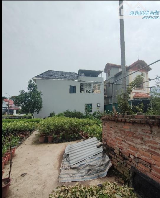 4.6 Tỷ/98 M2/6.4 M tiền/ Phụng Công. Văn Giang