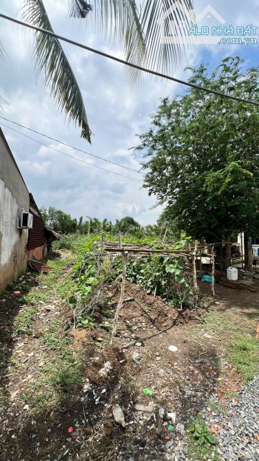 • Bán Đất trồng Cây lâu năm DT 754m2, có đường xe chạy đến đất, thuộc xã Hiệp Phước.