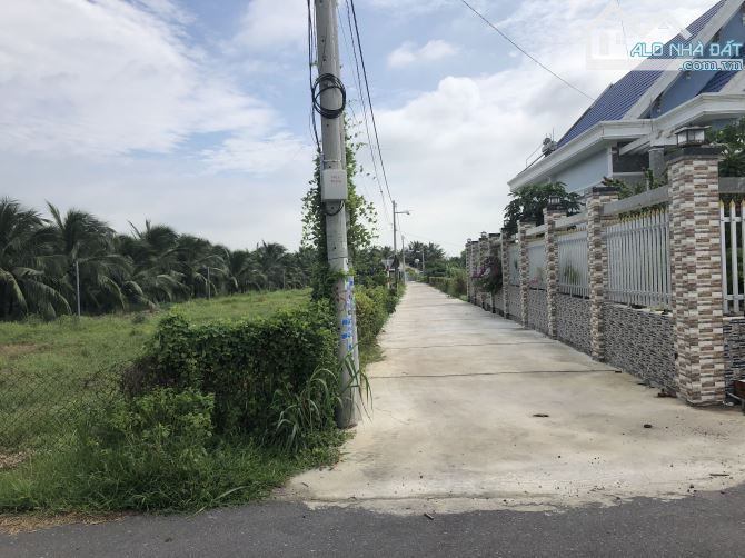 Phước Hải-dt:1300m2-góc 2 mặt tiền-15m nhựa và 93m bê tông, đất cây lâu năm, giá 3tyx - 1