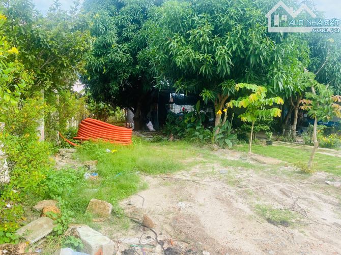 5x47(263m2) Nguyễn Văn Tỗi Trung Tâm LaGi Kinh Doanh Đa Ngành Nghề - 1
