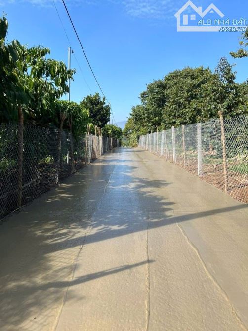Bán đất giá siêu rẻ tại thôn 4 Tân Lạc, Bảo Lâm - 1
