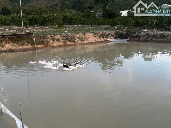 Bán 21000m2 đất nhà ao vườn suối chảy ngang xã liên hiệp đức trọng lâm đồng 12 tỷ - 1