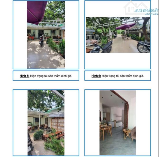 🚨 CẦN BÁN GẤP ĐẤT MẶT TIỀN XÂY KHÁCH SẠN ĐƯỜNG HÀ HUY TẬP, ĐÀ LẠT 🚨 - 1