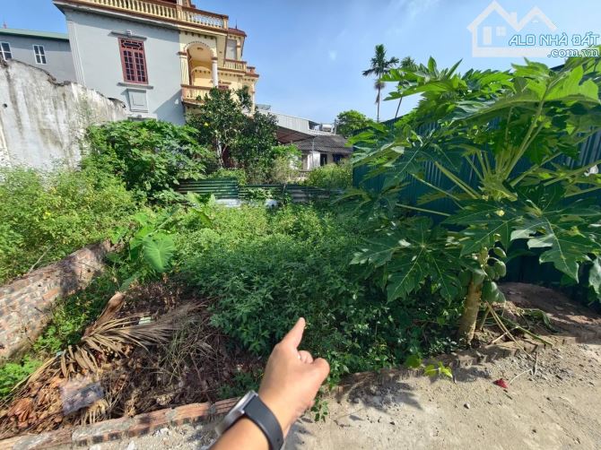 Cần tiền bán nhanh lô đất Độc Lập Long Biên 30m mt 4.5m nhỉnh 3 tỷ ô tô vào đất thoải mái - 1