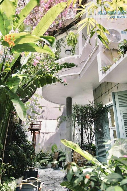 Cho thuê biệt thự sân vườn Quận 3 DTSD 700m2, 3 lầu sân vườn giá 99 triệu 221/ Lê Văn Sỹ - 1