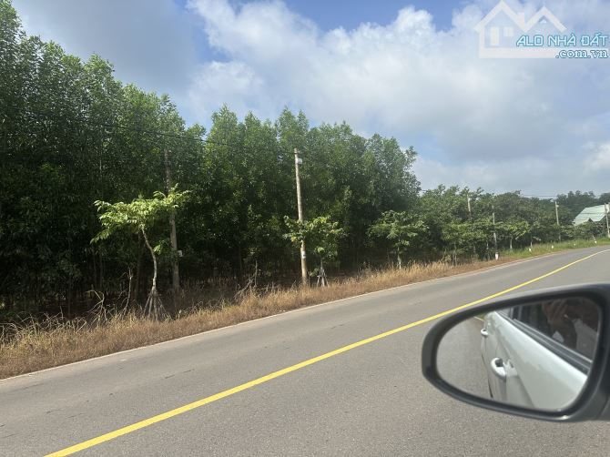 🔥BÁN ĐẤT MẶT TIỀN ĐƯỜNG 768 – 500m² ĐẸP NGANG 10M – GẦN HỒ TRỊ AN – GIÁ CHỈ 2 ,5TỶ🔥 - 1