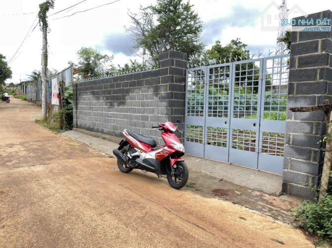 💥Lô TC 4,9*24,7m hậu 5m,hẻm 266 ymoan,gần đường Chính - 1