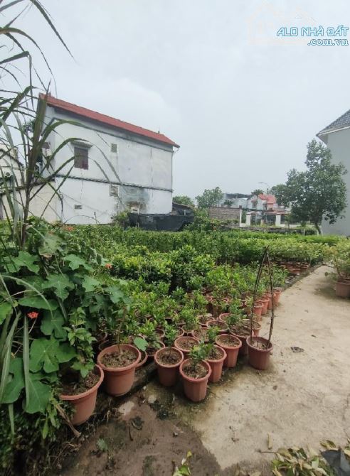 4.6 Tỷ/98 M2/6.4 M tiền/ Phụng Công. Văn Giang - 1