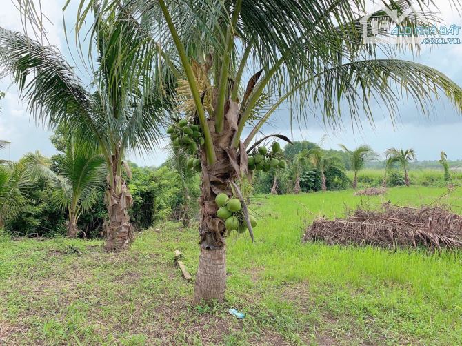 Bán khoảng 3 sào (3084m2) đất xã Suối Nghệ, huyện Châu Đức, BRVT. - 1